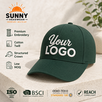 Gorra deportiva unisex, gorra con logotipo personalizado bordado, gorra de béisbol deportiva, gorra de camionero, gorra con estampado de letras a la moda