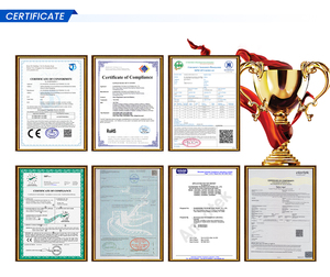 Techfine tinh khiết sinewave Single phase 220VAC song song Bộ dụng cụ 5KW 6.3kVA năng lượng mặt trời biến tần nhà hệ thống bảng điều khiển - Product Image 6