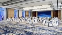 2024 nouveau Design gros mur à mur 80% laine et 20% Nylon salle de bal Axminster salle de réunion tapis de sol avec bon prix