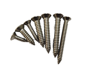 304 thép không gỉ chéo lõm vít tự khai thác với đai ốc - Product Image 2