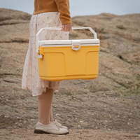 Glacière isotherme 13 L avec poignée, personnalisable avec logo sérigraphié, durable, pour activités de plein air - Vente en gros usine