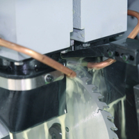 Conception universelle efficace traitement automatique cnc affûteur outil disque côté tct scie circulaire lame affûtage machines prix