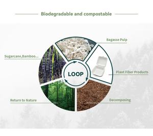 Caja de Cartón de Caña de Azúcar Biodegradable Desechable al por Mayor de 9x6 Pulgadas con <span class=keywords><strong>2</strong></span> Compartimentos, Contenedor Seguro para Alimentos para Fiestas - Product Image 6