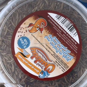 Larva BSF Kering Alami - Camilan Sehat untuk Tokek & Katak - Product Image 4