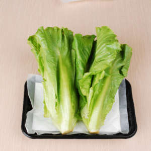 Almohadilla Absorbente para Retener Líquidos en Bandejas con Almohadilla para Carne - Product Image 6