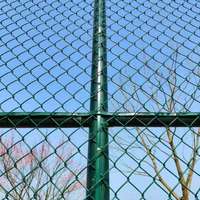 Malla de Alambre Galvanizado para Jardín, Recubierta de PVC, de 0.3mm-8.0mm, Rollos de Malla Ciclónica, Paneles de Malla de Alambre Diamantada