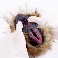 Alien Fur Beast Simulation Flugzeugbecher Anionen Vaginal Anal Integrierter Invertierter Männlicher Masturbator Penis-Übungsgerät 100% Wasserdicht