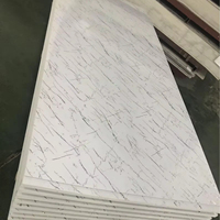 Les panneaux muraux modernes imitent le panneau en plastique de marbre flexible pour la décoration intérieure