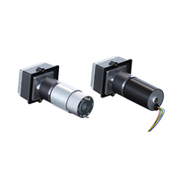 Pompa Peristaltik DC Tanpa Sikat/Brushless Bahan Stainless Steel untuk Pengolahan Air Limbah Tekanan Rendah Laju Alir Kecil Ringkas