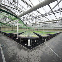 Banc de travail roulant à flux et reflux à haut rendement et faible consommation d'énergie pour légumes, fruits et fleurs, avec structure stable en acier et aluminium