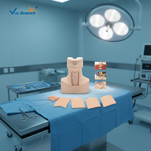 Modelo Avanzado de Entrenamiento para Punción Cricotiroidea e Intubación de Traqueotomía - Modelo Anatómico de Ciencia Médica de Silicona/PVC - Product Image 2