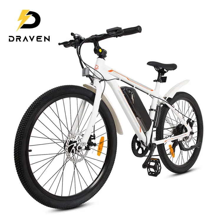 Nuovo popolare forcella anteriore e-bike bicicletta elettrica forcella anteriore 10ah 500W