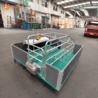Cage de maternité pour truies, enclos de maternité pour porcs, équipement d'élevage porcin pour projets d'élevage de porcs, fournisseur OEM ODM
