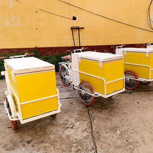 Tricycle électrique personnalisé avec congélateur, vélo électrique, 10 pouces, Street, alimentation, réfrigérateur - Product Image 3