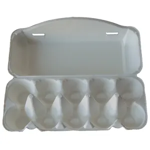 10 Holes Sugarcane Bagasse Pulp Customizable Paper Color Price Egg Tray Carton