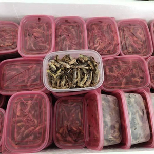 Granchiolo Congelato per Uso Animale, Trattamento per Rettili, Polli, Uccelli, Pesci e Anfibi - Product Image 3