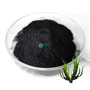 Factory Supply Pure Natural Seaweed Extract <strong>Kelp</strong> <strong>Powder</strong> - Product Image 2