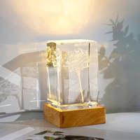 Lampada Notturna Luminosa in Legno Massello, Supporto LED con Scanalatura Interna Quadrata, Base in Legno per Esposizione di Ornamenti in Cristallo