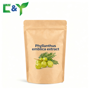 Puur Natuurlijke 10:1 Phyllanthus <span class=keywords><strong>Emblica</strong></span> <span class=keywords><strong>Extract</strong></span> Verse Amla Vruchten <span class=keywords><strong>Emblica</strong></span> <span class=keywords><strong>Officinalis</strong></span> <span class=keywords><strong>Extract</strong></span> 30% Polyfenolen Poeder - Product Image 1