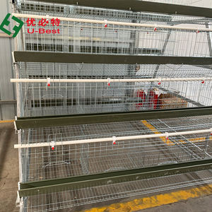 Système d'alimentation automatique pour élevage de volailles, cages à batterie pour poulets pondeuses - Product Image 6