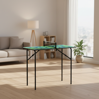 Petite table de ping-pong multi-usages avec filet, pliable et facile à assembler
