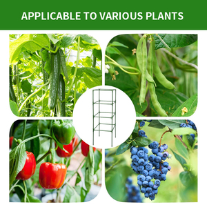 चीन आपूर्तिकर्ता भारी शुल्क टमाटर पिंजरे के ढहने वाले बगीचे ऊर्ध्वाधर चढ़ाई संयंत्र किट प्लास्टिक फूल के बर्तन घर नर्सरी सजावट - Product Image 5