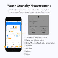 Compteur d'eau intelligent Zigbee à ultrasons avec écran LCD, mesure de la consommation et du débit d'eau, IP68, compatible avec l'application Tuya, DN15-DN25