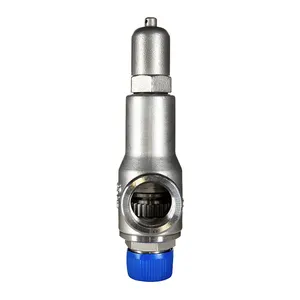 DN 25 Stainless Steel Pressure Regulating Valve Safety Valve For Oil Industry