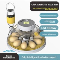 Incubateur d'œufs de volaille automatique intelligent haut de gamme pour l'élevage et l'aquaculture, destiné à l'exportation