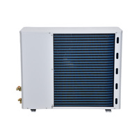 Unité de condensation extérieure pour chambre froide industrielle entièrement fermée, refroidie par air, haute efficacité, personnalisée OEM