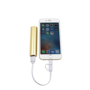 Smallest Portable Charger Car Pass Through Power Bank 5000 10000 20000mah logo Custom Power Banks Restaurant