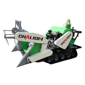 Chalion mesin panen gandum Mini mesin pemanen Paddy Mini 4LZ-1.1 pertanian menggabungkan pemanen untuk dijual Filipina