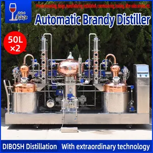 Destilador de alcohol para el hogar de whisky completamente automático marca Dibosh 50Lx2