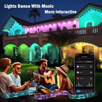 Lumière LED décorative de fête pour la salle, ampoule intelligente à pixels RGB programmable, lumière ponctuelle à pixels pour parc d'attractions
