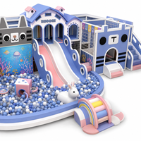 Aire de jeux intérieure personnalisée pour enfants 2026 : Piscine à balles, toboggan, mur d'escalade, château et tunnel à thème couleur sur mesure
