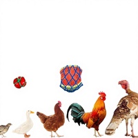 Mangeoire suspendue réglable en nylon pour poulets et légumes, sac réutilisable avec crochet, jouets, support pour fruits pour volailles, poules, canards, utilisation extérieure