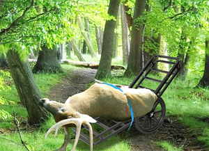 Chariot <span class=keywords><strong>à</strong></span> cerfs pliable pour la décoration de voiture, <span class=keywords><strong>porte</strong></span>-bagages de chasse robuste avec cadre durable, roues tout-terrain pour utilisation en véhicule - Product Image 3