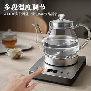 AUX Electric Kettle Glass Teapot With Temperature Control 100C Automatic Shut Off 360 Degree Base Heating - Product Image 3