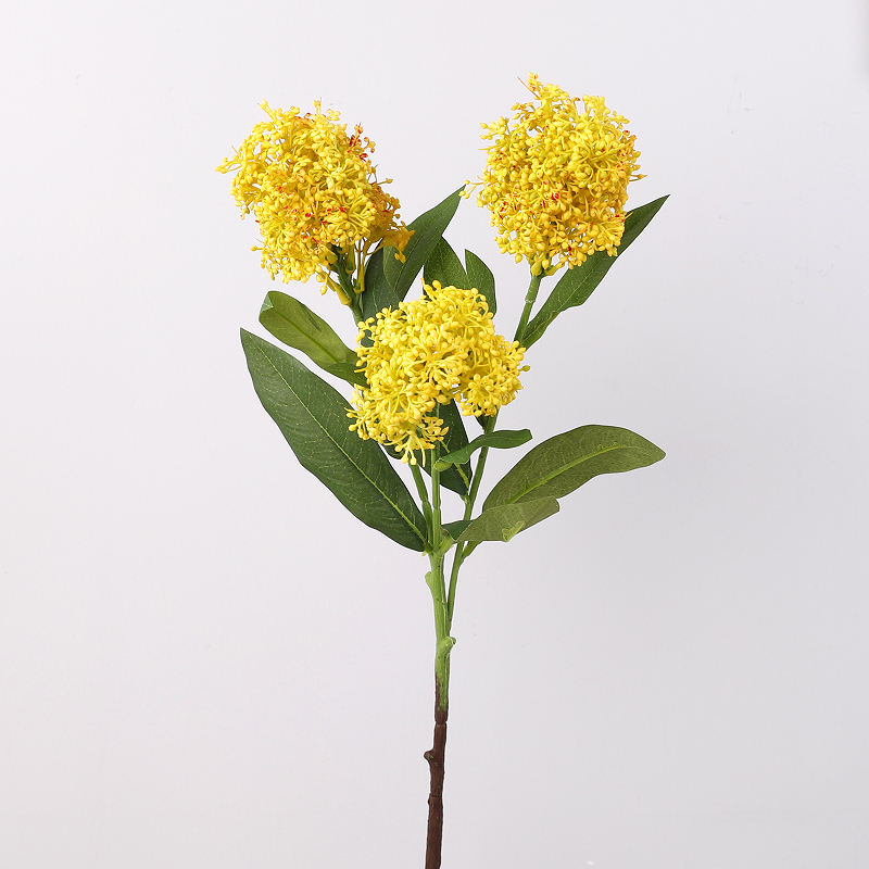 สีเหลือง