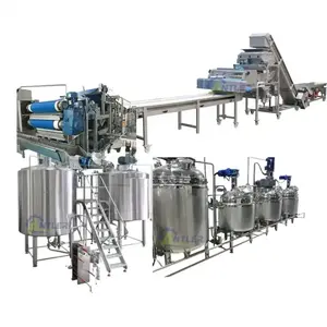 Ligne de machines de traitement de vin de kiwi de raisin personnalisé Machine de fabrication de vin de boisson