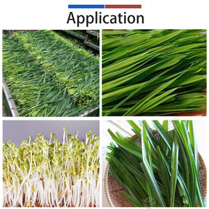 Ligne de traitement commerciale pour feuilles de pandan, herbe de blé et pousses de haricot, machine de lavage et de découpe du blé - Product Image 6