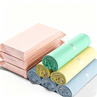 Bolsas de Correo Autoadhesivas de Plástico LDPE para Envíos Express con Logotipo para Ropa y Embalaje de Prendas