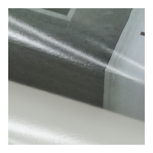 Venta Directa de Fábrica, Película Adhesiva Transparente No Elástica de Polipropileno Termofusible para Prendas de Vestir - Product Image 1