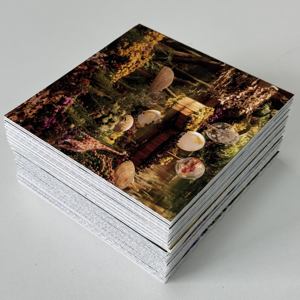 Chaîne d'approvisionnement mondiale, <span class=keywords><strong>plaque</strong></span> de feuille de <span class=keywords><strong>polypropylène</strong></span> ondulée en nid d'abeille, <span class=keywords><strong>plaque</strong></span> de feuille de <span class=keywords><strong>polypropylène</strong></span> avec service de découpe, écologique, imperméable - Product Image 4