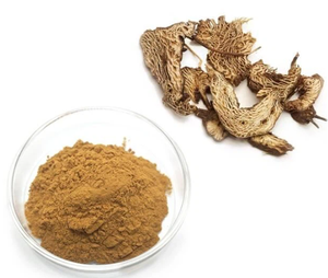 Pasokan pabrik kualitas terbaik Ligusticum <span class=keywords><strong>Chuanxiong</strong></span> <span class=keywords><strong>Hort</strong></span> bubuk ekstrak untuk minum - Product Image 1