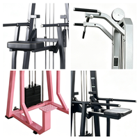 Machine Commerciale Multifonctionnelle d'Entraînement en Salle de Sport pour Tractions et Dips, Équipement pour Exercices du Dos, des Triceps et de la Poitrine, Direct Usine, Certifié CE
