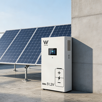 Enerji Depolama Bölünmüş Hibrit 16kWh LiFePO4 Pil IP65 Ev Aletleri CE UN38.3 Sertifikalı 10 Yıl Garantili 8000 Döngülü Dikey