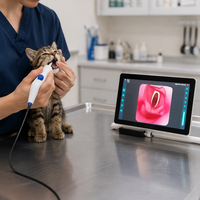 Bronchoscope pour chien le plus économique, qualité vidéo flexible, OEM pour la médecine animale, endoscope USB 1280*720p