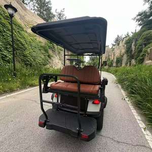 Nuevo Vehículo Eléctrico Multifuncional para Caza, Carro de Golf de 4 Plazas, Carro de Golf Eléctrico Todoterreno, Buggy de Golf para Caminos No Públicos - Product Image 6