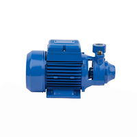 Pompa Air Periferal Irigasi Pertanian Elektrik 0.5 HP PM45 Penjualan Populer